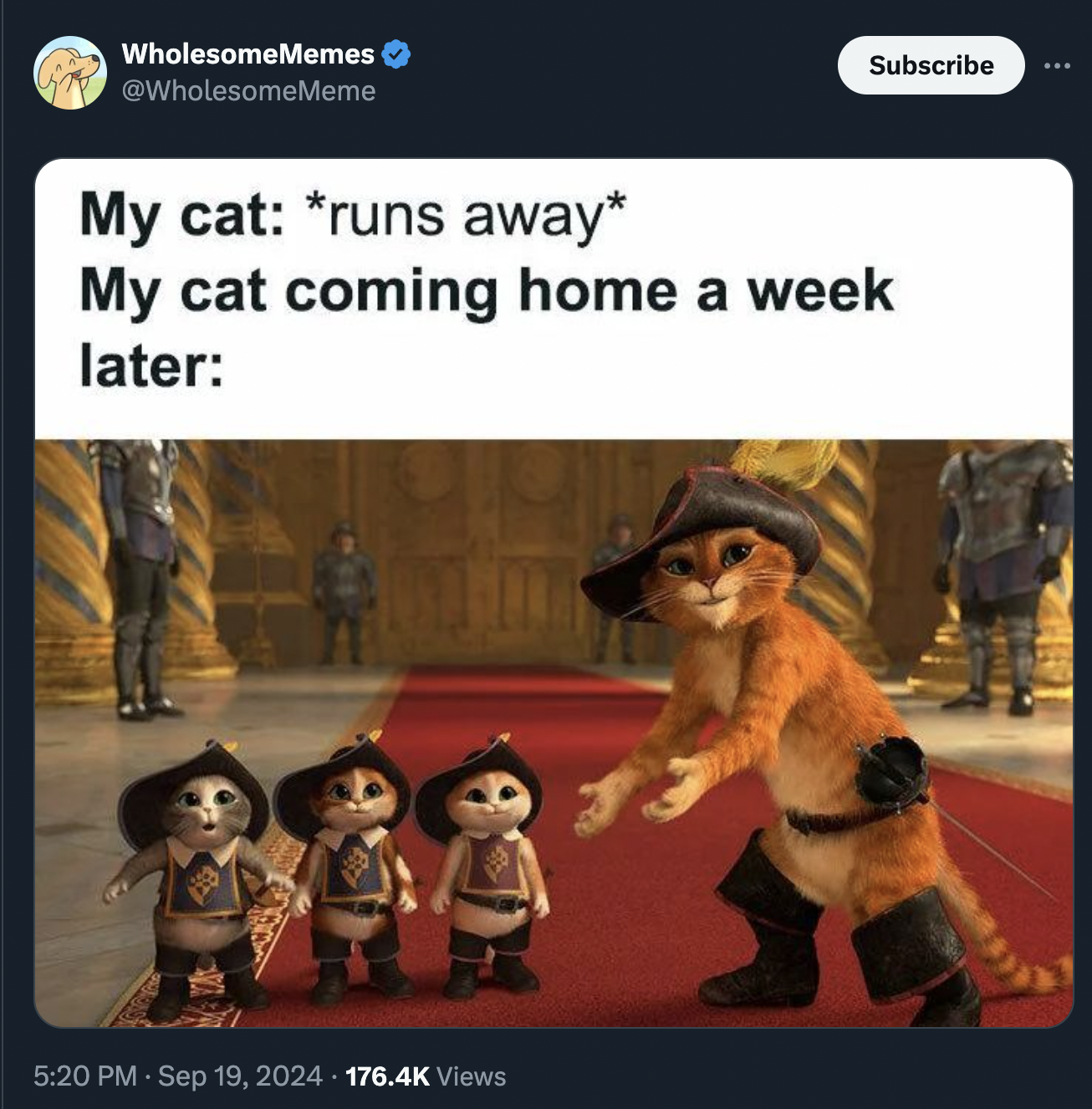 screenshot - Subscribe WholesomeMemes My cat runs away My cat coming home a week later Views